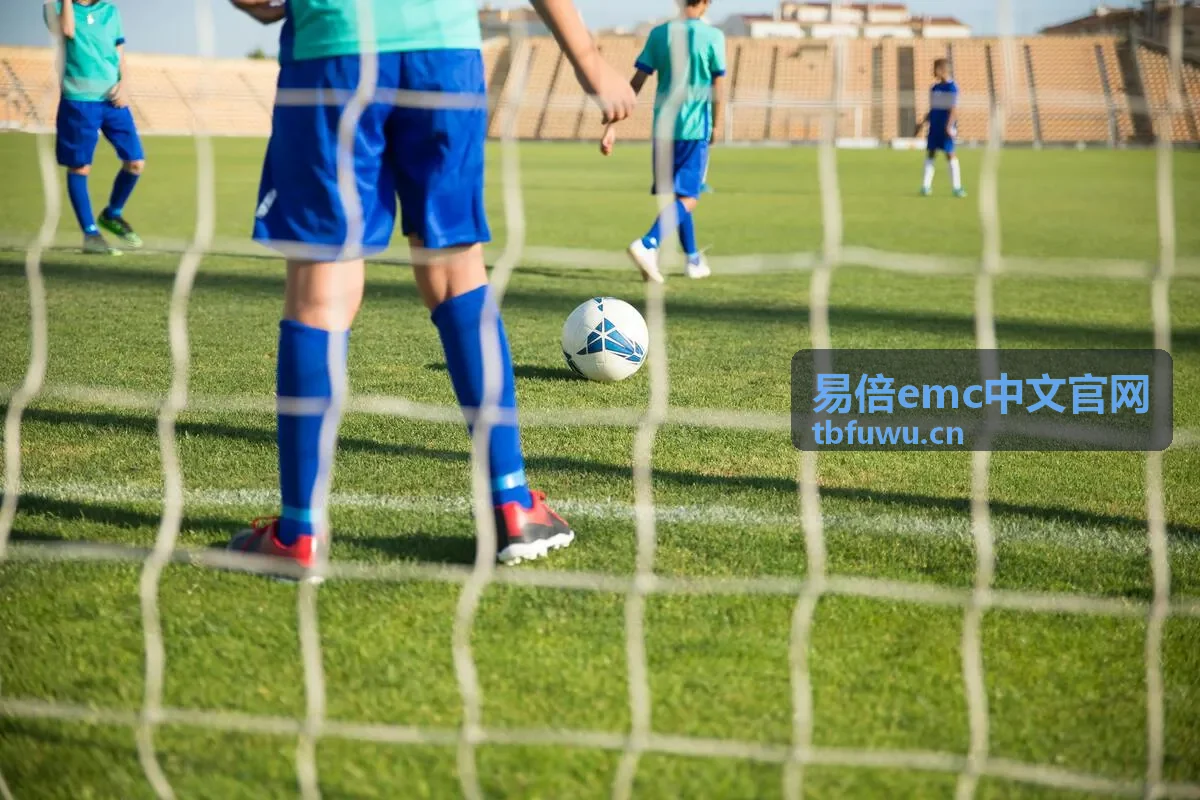 易倍emc服务支持封面图4