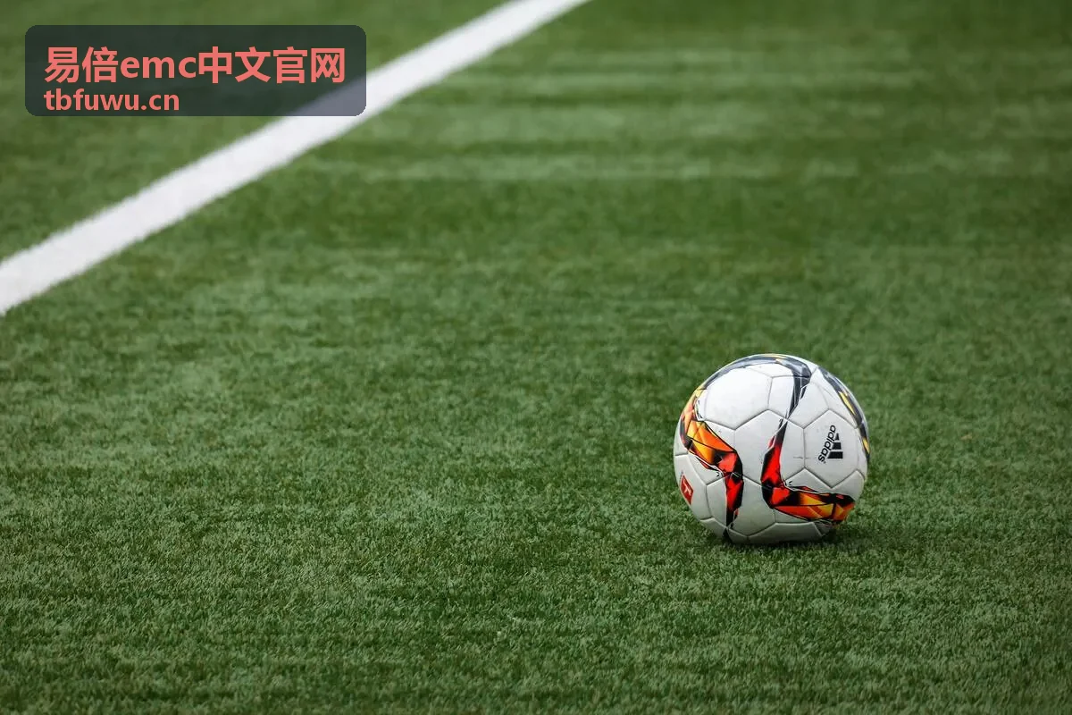 易倍emc中文官网发展历程图03